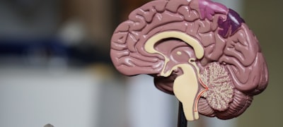 密集排列的体育赛事赛程日历数据库视图